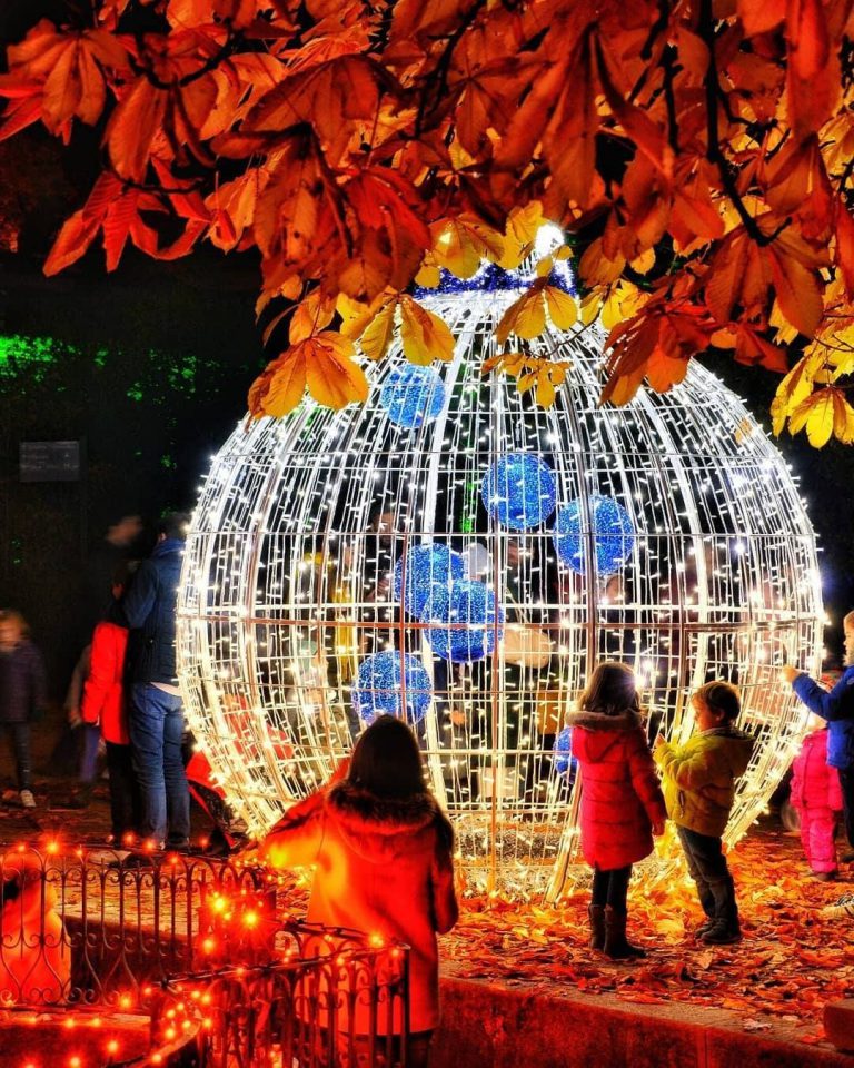 Esta Navidad: ¿os apetece compartir una experiencia distinta?