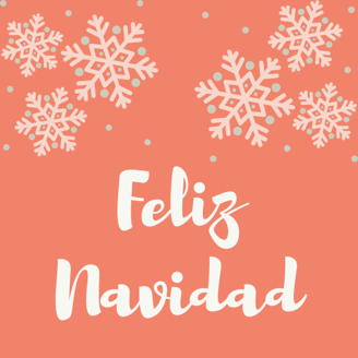 ¡Gracias por ayudarnos a elegir un proyecto solidario!