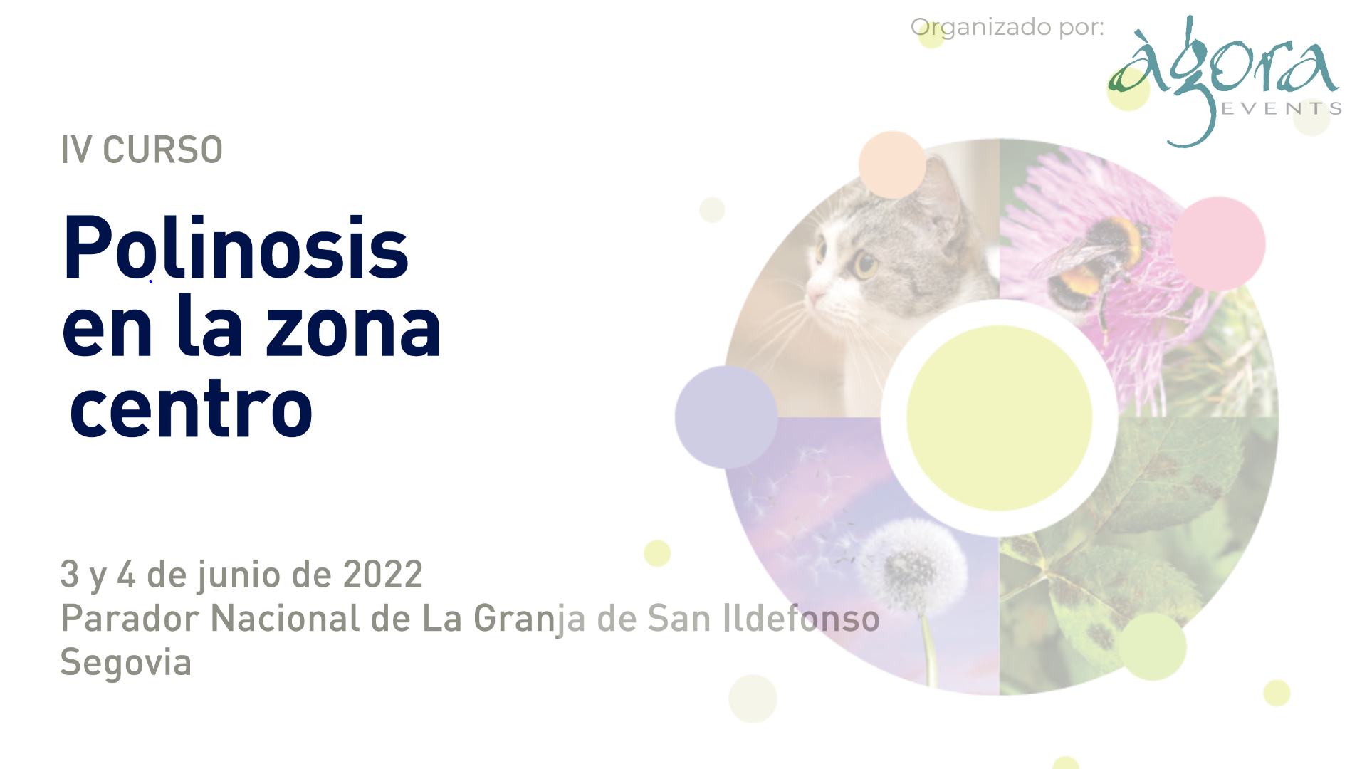 Polinosis en la Zona Centro